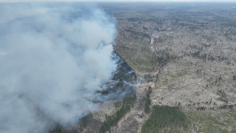 19 лесных пожаров ликвидировано за минувшие сутки в Иркутской области 