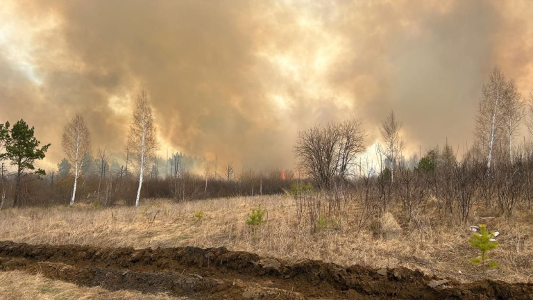 12 пожаров потушили в предыдущие сутки в лесах Приангарья 