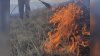 Иркутская область в огне: очаги разбросаны от Слюдянского до Чунского районов