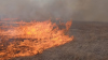 23 пожара произошло за сутки в лесах Иркутской области