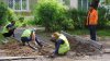 36 дворов отремонтируют в Ленинском округе Иркутска