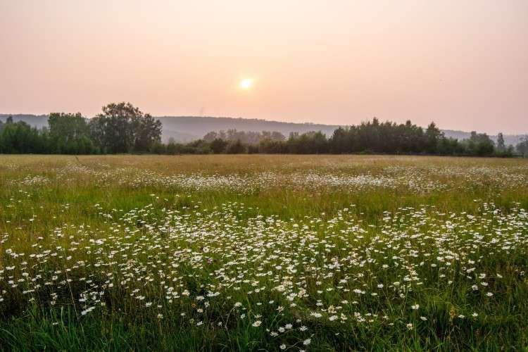 Пять новых муниципальных округов появится в Иркутской области