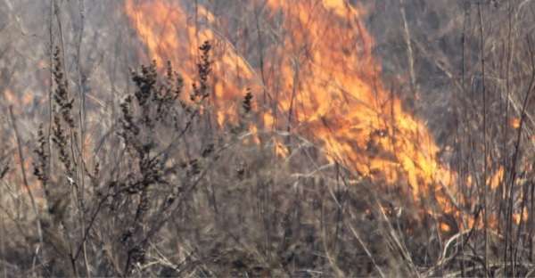 28 октября в Иркутске продолжатся отжиги сухой травы