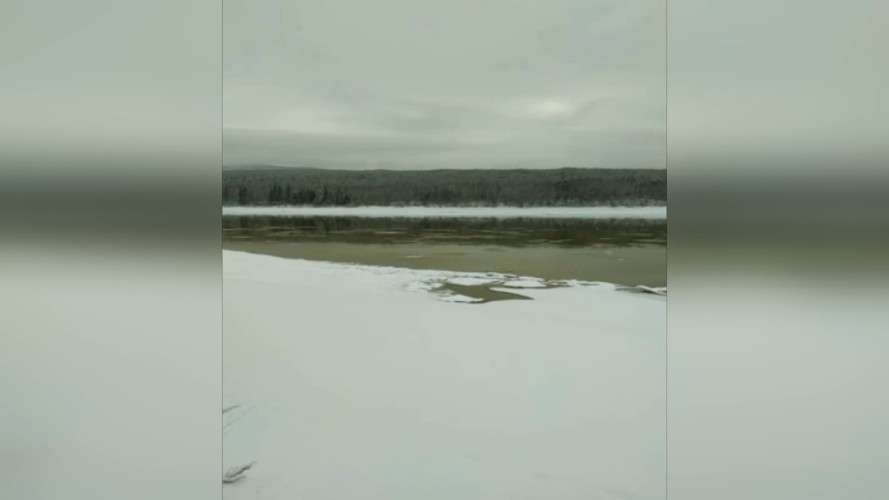 Впадающая в Витим река изменила цвет воды на тёмно-зелёный