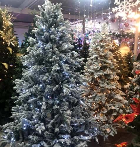 Ёлки-палки: зелёные красавицы вырастут в цене до 20%