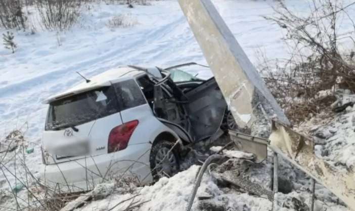 Иномарка с женщиной за рулём и тремя детьми въехала в столб под Иркутском