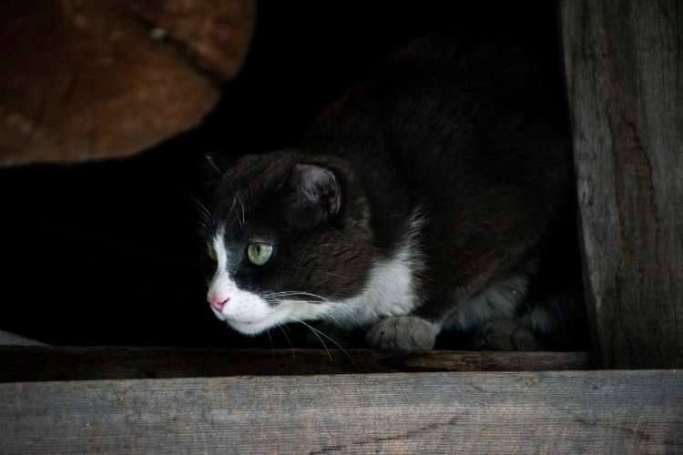 «По весточке»: по дороге радости