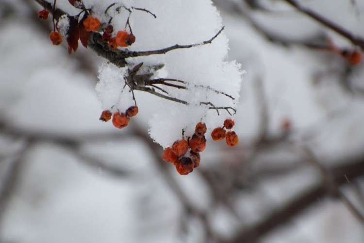 Снег, ветер и понижение температуры ожидается в Иркутской области 9 марта