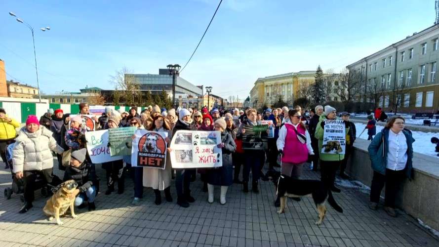 Митинг против эвтаназии бездомных собак прошёл в Иркутске