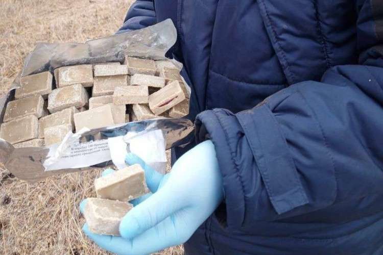 40 тысяч доз вакцины от бешенства разложат ветеринары в лесах Приангарья