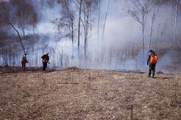 Лесной пожар