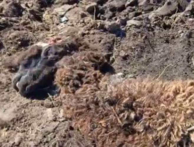 озеро смерти