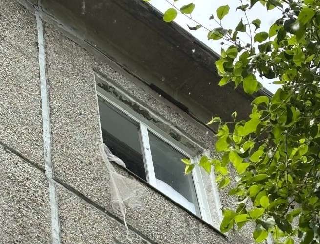 Окно с противомоскитной сеткой