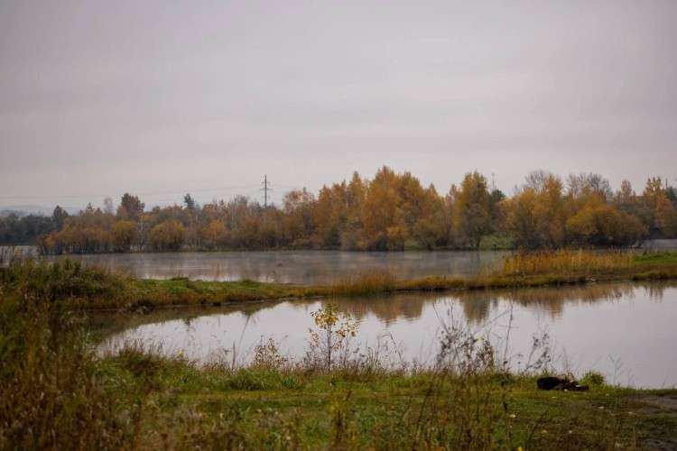 Осенний лес в Шелеховском районе