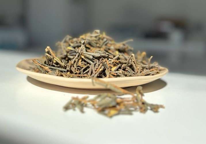 Чай саган-дайля