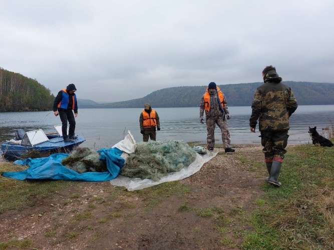 Очистка водоёма