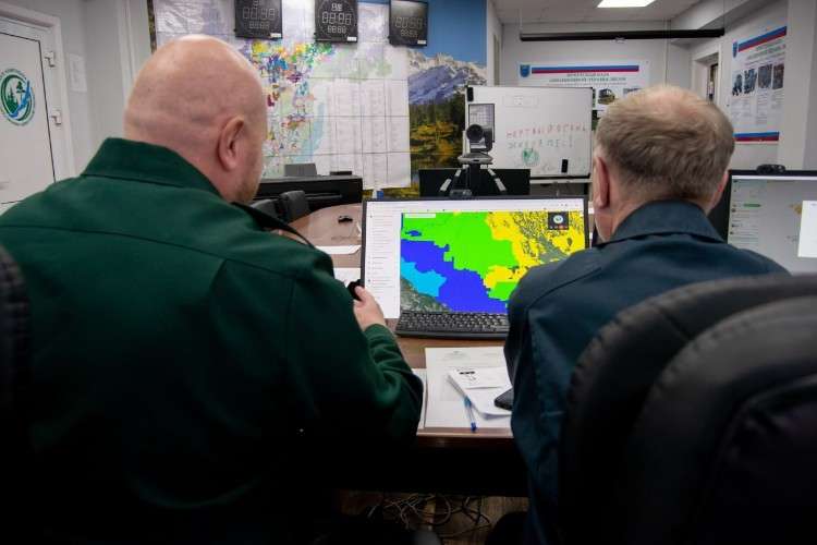 Мониторинг