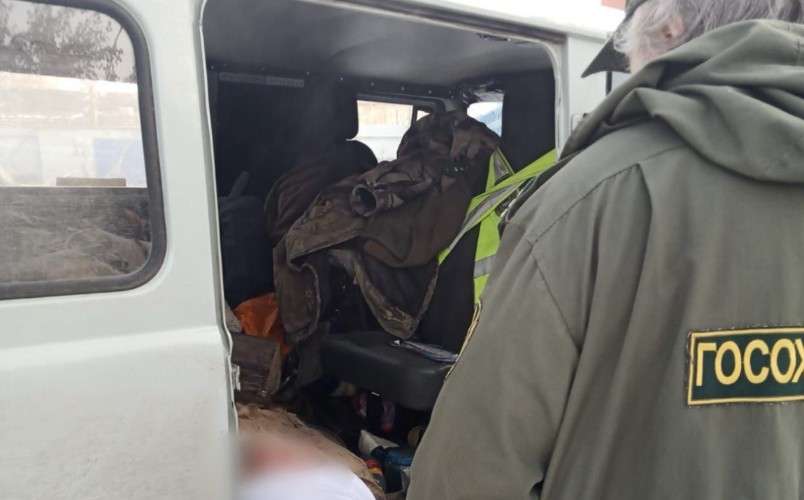 Спасение косули