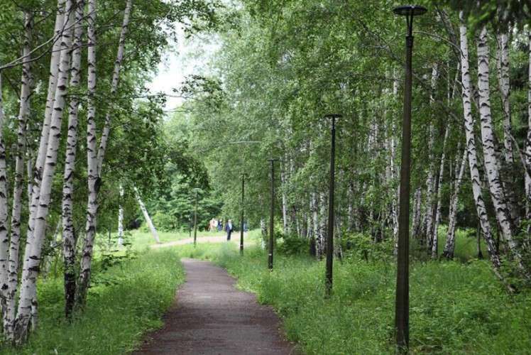 Парк Академгородка