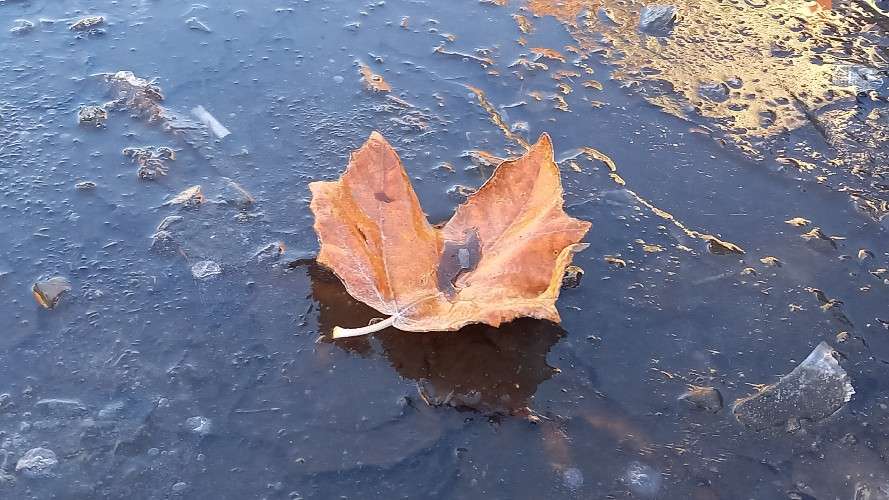 Лужа на дороге