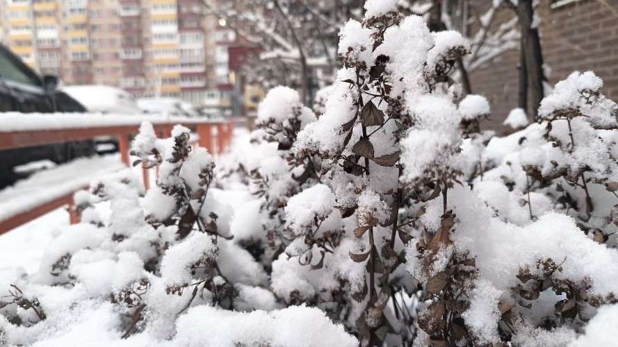 Зимний город