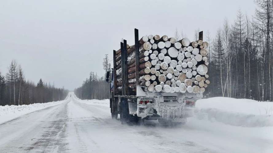 Зимняя дорога