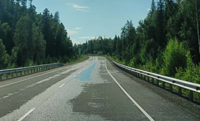 загородная дорога в тёплое время года