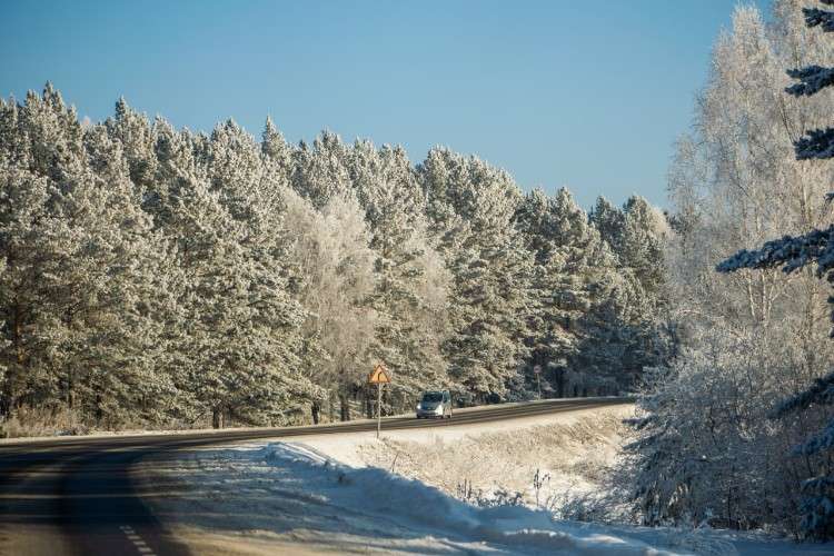 извилистая дорога на фоне заснеженных деревьев