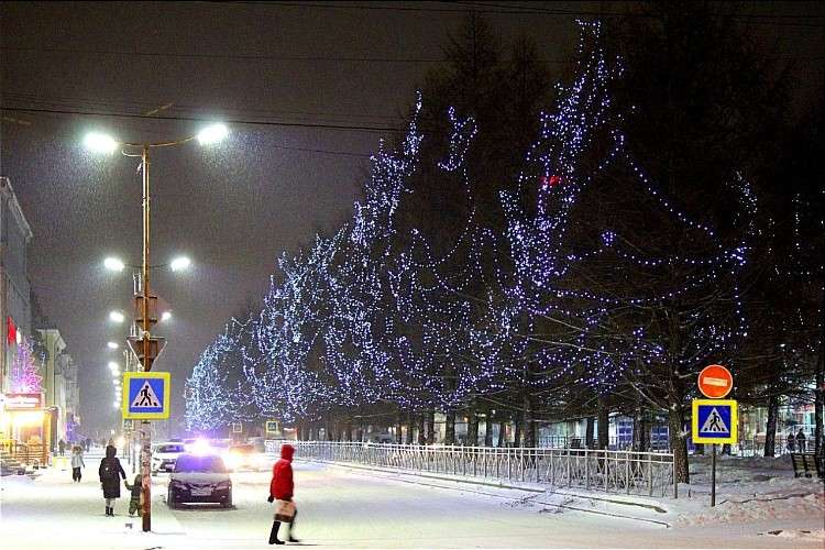 Городская дорога и аллея хвойных деревьев, украшенная гирляндами