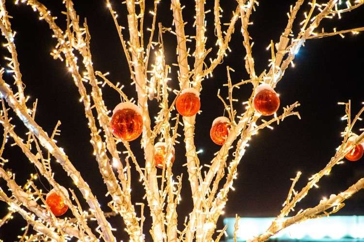 Ведущего праздников в Иркутске арестовали за неуплату алиментов