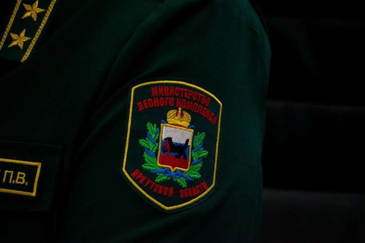 Форма министерства лесного комплекса