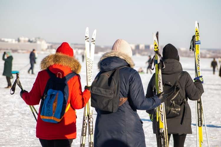 лыжи, лыжники, спорт, зима, снег