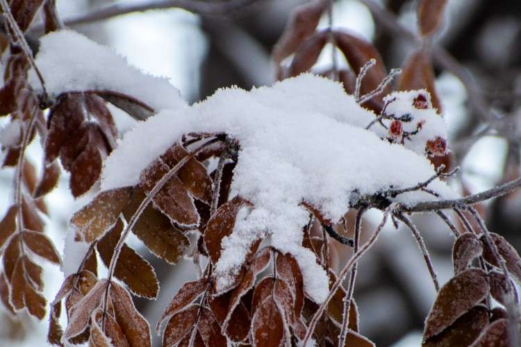 До -40° и штормовой ветер на Байкале: синоптики рассказали о погоде на 14 февраля