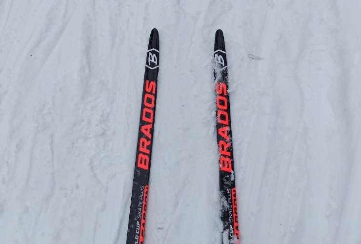 Лыжи на снегу