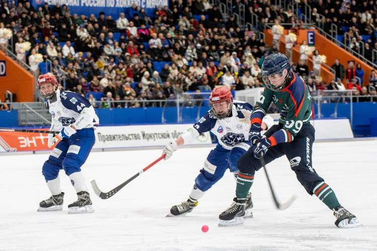 Хоккей с мячом