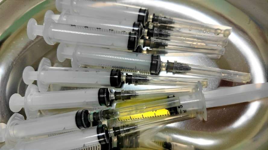 Сезон клещей близко: жителям Приангарья напомнили о вакцинации от энцефалита