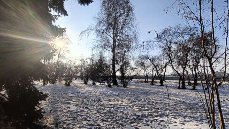 снег, парк, солнце, деревья