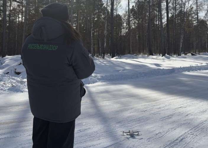 Россельхознадзор начал проверять содержание скота в Приангарье с помощью дронов