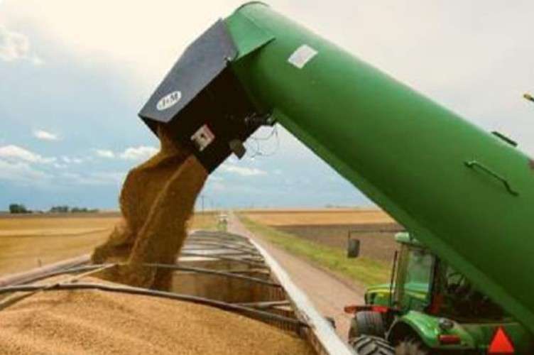 Загрузка зерна