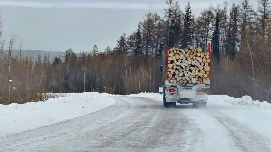 Зимняя дорога