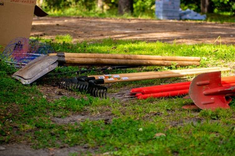 В Братске состоится общегородской субботник 25 апреля