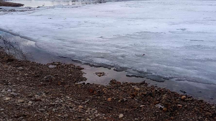 берег, лёд, вода, водоём