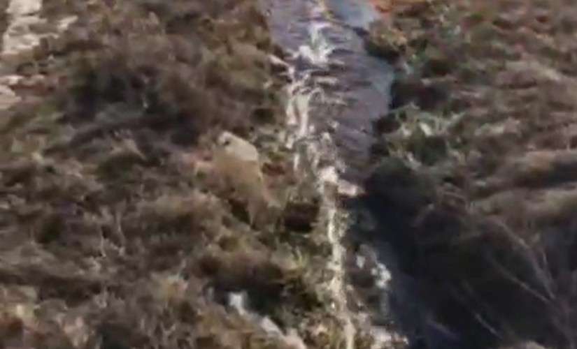 Ручей у Новомальтинска