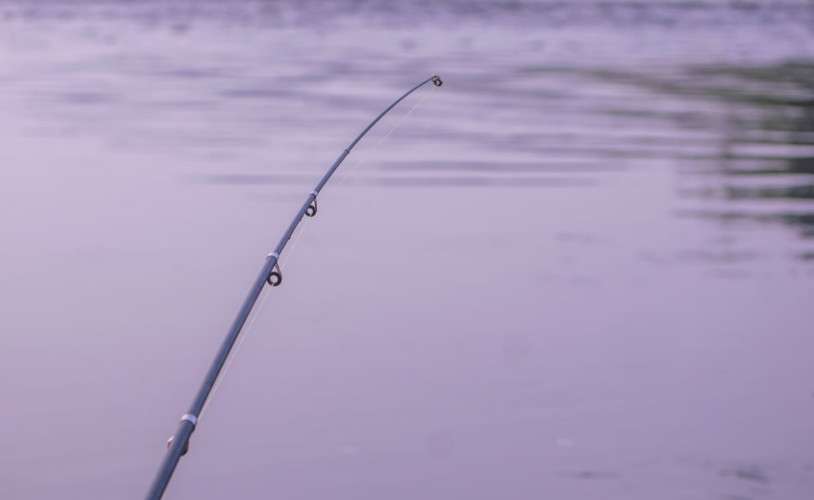 Удочка над водой