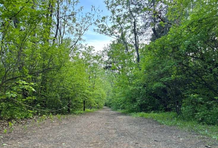 Дорожка в парке