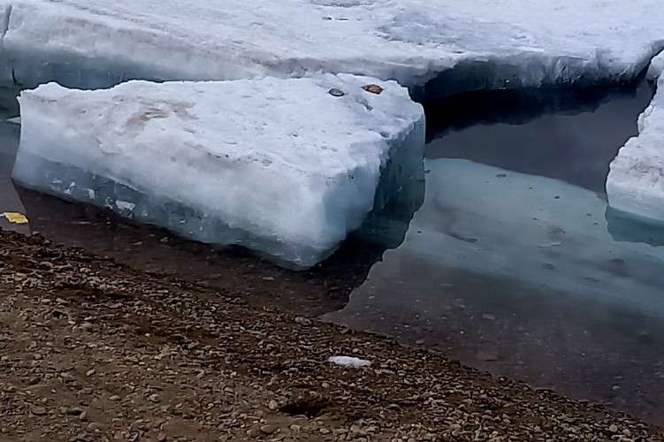 Льдины у берега реки