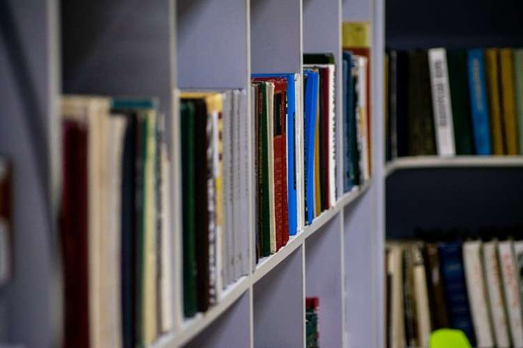 Библеотечные полки с книгами