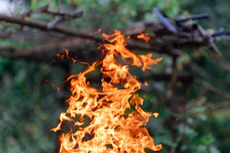 огонь, пламя, природа