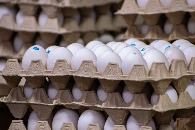 яйца, ячейки, продукция