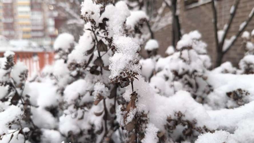 Мокрый снег накроет Иркутскую область 15 апреля